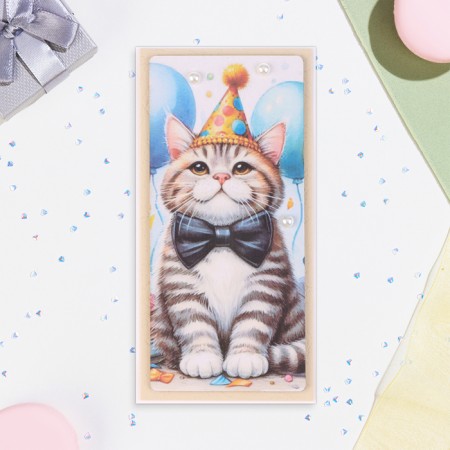 Money envelope "Happy Birthday!" Cat with a cap, handmade, 16x8 cm