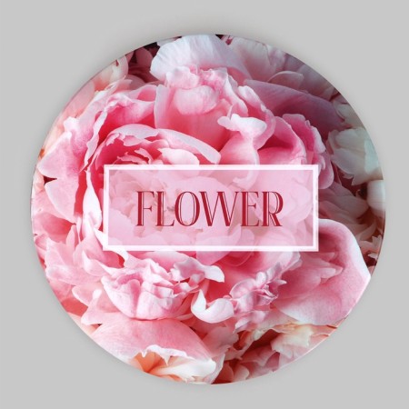 A set of hats for colors 4 in 1, gift packaging, “peonies”, 20 x 17.5 - 16 x 14 cm-7