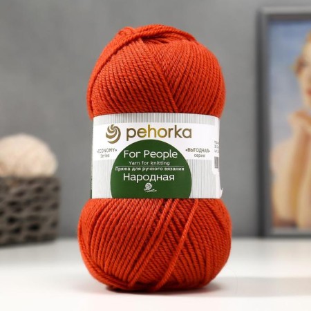 Yarn "Narodnaya" 30% wool, 70% acrylic volume 220m/100g (30-sv. Terracot)-2