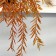 Bonsai "Iva purple" plant 50 cm (pot H-8, D-8.5 cm) mix