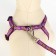 Set "Star Bones", leash 120 x 1 cm, fire 23-35 cm, purple