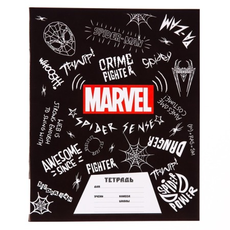 Notebook in a line of 24 sheets, 4 types of mix, cover coated cardboard, spider-man-4