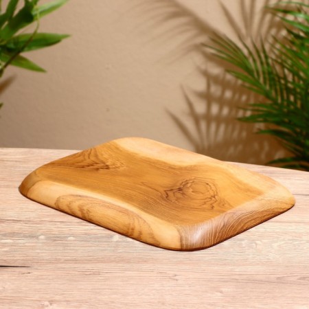 Dish 25x20x2 cm, tick tree-3
