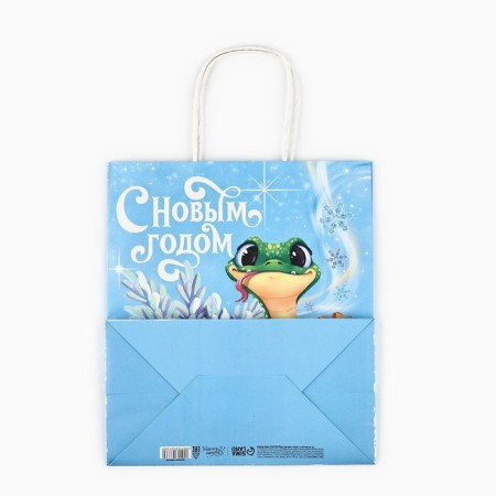 Package Gift New Year's "Snake 2025", white craft, 22 x 25 x 12 cm-3