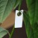 Garden tags for marking, 5 × 2 cm, set 20 pcs., Plastic, mix, Greengo