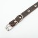A single -layer leather collar with corrugated eyelets, dimensionless, 50 x 2 cm, brown