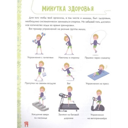 Тело человека-4