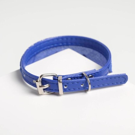 A collar with a scarf Super Dog 32 x 1 cm, blue,-3