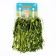 Pompons 2 pcs, green color