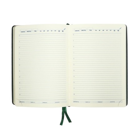Delivery of a low -end A5, 136 sheets in a ruler, leatherette "Nebraska", gold cut, green-11