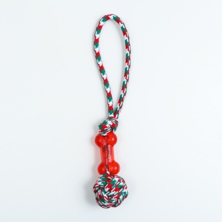 Cable toy with a bone, up to 150 g, up to 40 cm, red-white-green-1