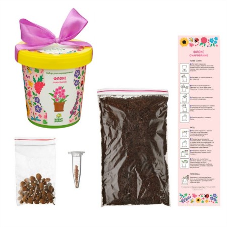 Set for creativity "Pot" Flox Charm "-2