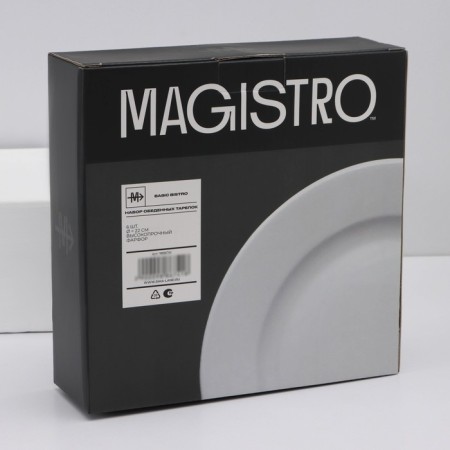 A set of plates of porcelain dining Magistro Basic Bistro, 6 objects: D = 22 cm, white color-6