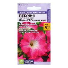 Petunia Dreams 