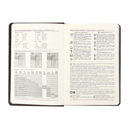 Diary Nedtir A5 160l Escalada, TV Region, Light claim, Las, tone BL 70g/m2, brown-9