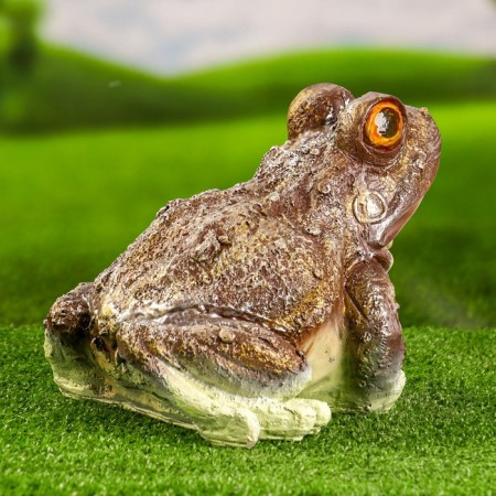 Garden figure "Eyewood Frog" 25x23x20cm-2