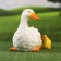 Garden figure "Duck with a duck" 23x15x20cm ////