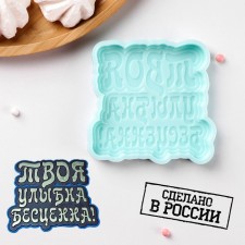 Silicone form “Your smile is priceless”, 8.5 × 8.3 × 1 cm, the color is turquoise