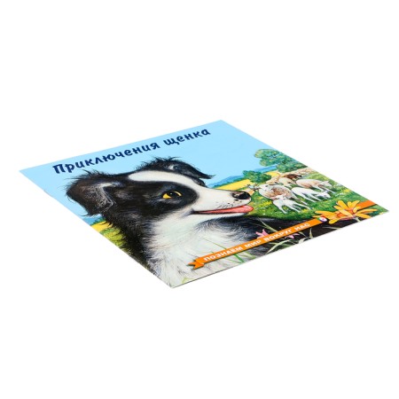 We know the world around us “The Adventures of the Puppy”, 16 p.-3