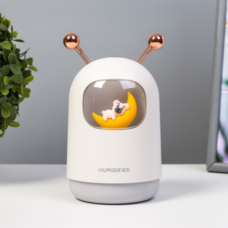 Night with a moisturizer dog on the moon LED USB AKB Gray 8.3x8.3x15 cm Risalux-1