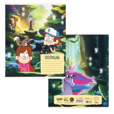 Notebook in a line of 24 sheets, 5 types of mix, cover coated cardboard, gravity farz-3