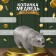 Silver bear piggy bank 18.5 x 14 x 36 cm