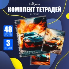 A set of notebooks of 3 pieces, 48 ​​sheets in a cage on the crest of Calligrata Auto, cover shaked cardboard, VD-LK, OFSET block