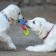 Chewing toy "Always together!", TPR, 3 rings of 8 cm, blue/pink/yellow