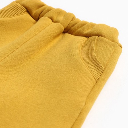 Set (blouse/pants) Children's agency, mustard color, height 62 cm-3
