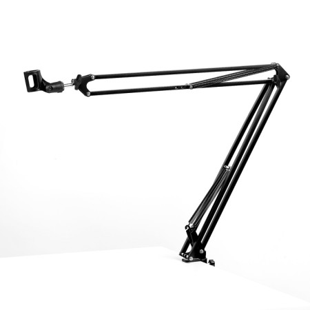 Microphone Pantotograph Music Life, microphone diameter 2.5 cm, length 100 cm