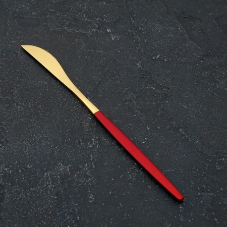 Stainless steel knife Magistro "Blink", length 22 cm, hanging gold, red handle.