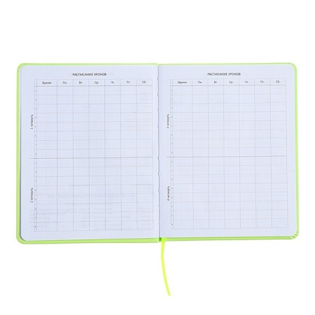 Universal diary for grade 1-11 Capybara, hard cover, artificial leather, silkography, lies, 80 g/m2-4