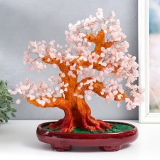 Bonsai souvenir 