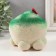 Growing gift Eco -Zhizhivchik "Turtle"