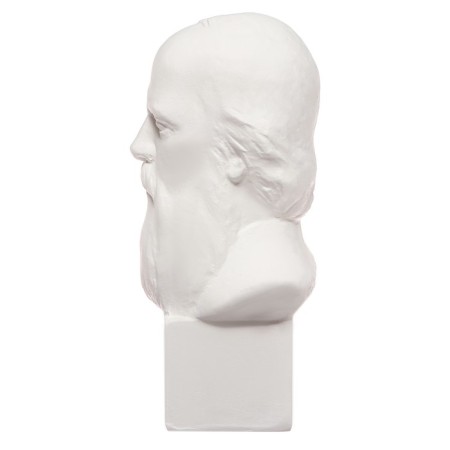 Gypsum figure famous people: Bust Saltykov-Shchedrin 20*9.5*10.5 10-195-5