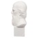 Gypsum figure famous people: Bust Saltykov-Shchedrin 20*9.5*10.5 10-195