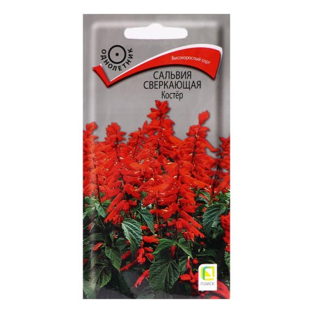 Salvia flowers sparkling "fire", 0.1 g.