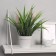 Bonsai in the pot "Field foliage" 9x23 cm, mix