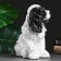 Piggy bank "Russian spaniel" 15x20x26cm