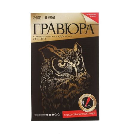 Owl engraving with the metallic effect “Gold”, 13x19 cm-3