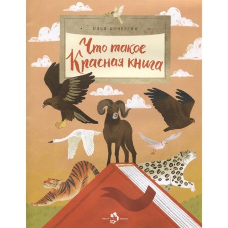 What is a red book. Kochergin I.