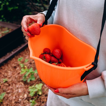 Berry collection container, 3 l, orange-13