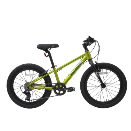Bicycle 20 ’’ maxiscoo 5bike, Fresh lime color, size M
