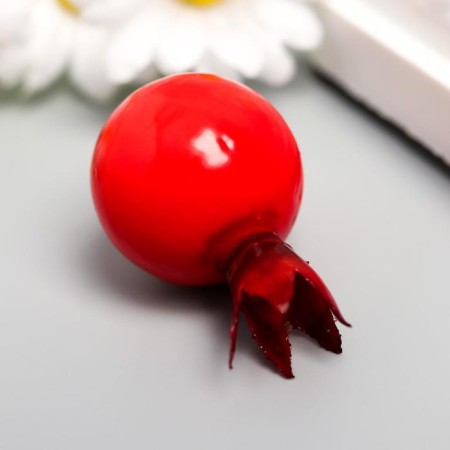 Decor for creativity "Rosehip Berry" set of 15 pcs 2.5x2.5x3.8 cm-2