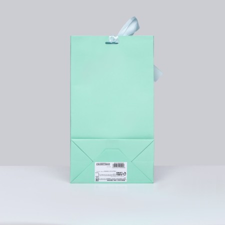 Gift package with the turquoise tape 13 x 23 x 7 cm, 1 pc.-1