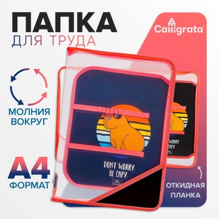 Folder D/Labor A4 Lightning around/Folding Plastic Plastic PTR-1 Calligrata maids "Be cape"-9