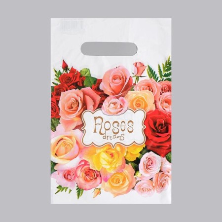 Graz package, polyethylene with a cut pen, 20 x 30 cm, 30 μm