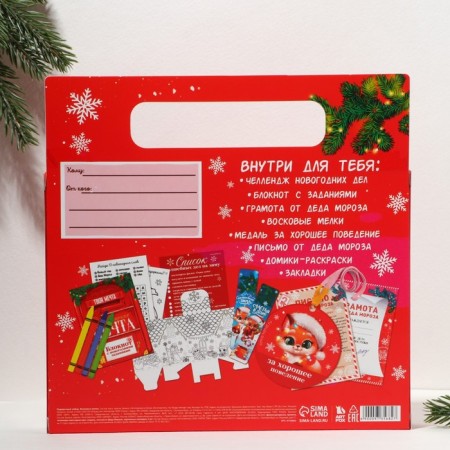 Gift New Year's set of 8 items "Fairytale Gift"-3