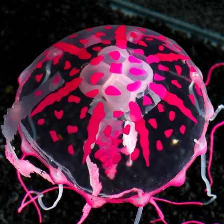 Decor for the Aquarium "Medusa" Silicone, with a neon effect, 10 x 10 x 20.5 cm, pink-5
