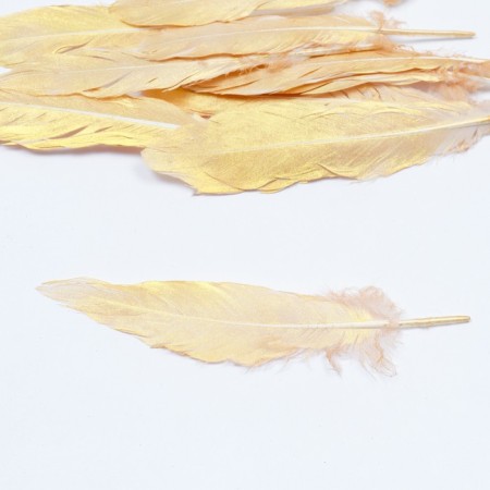 Feathers for decor, gold gold, 13-15 cm 10 pcs-1